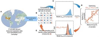 Exploring the determinants of organic matter bioavailability through substrate-explicit thermodynamic modeling